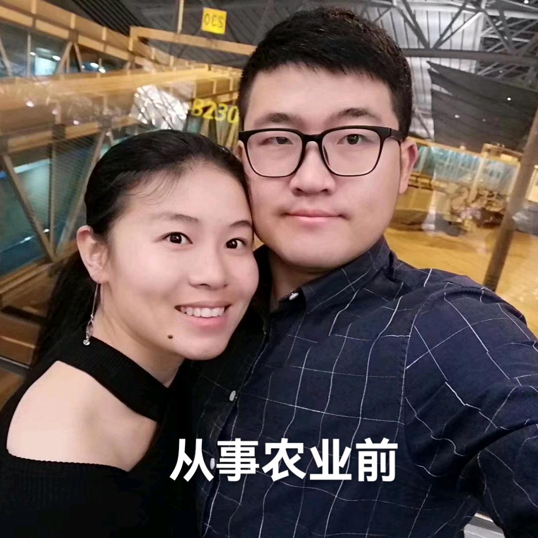 宝哥羊肚菌