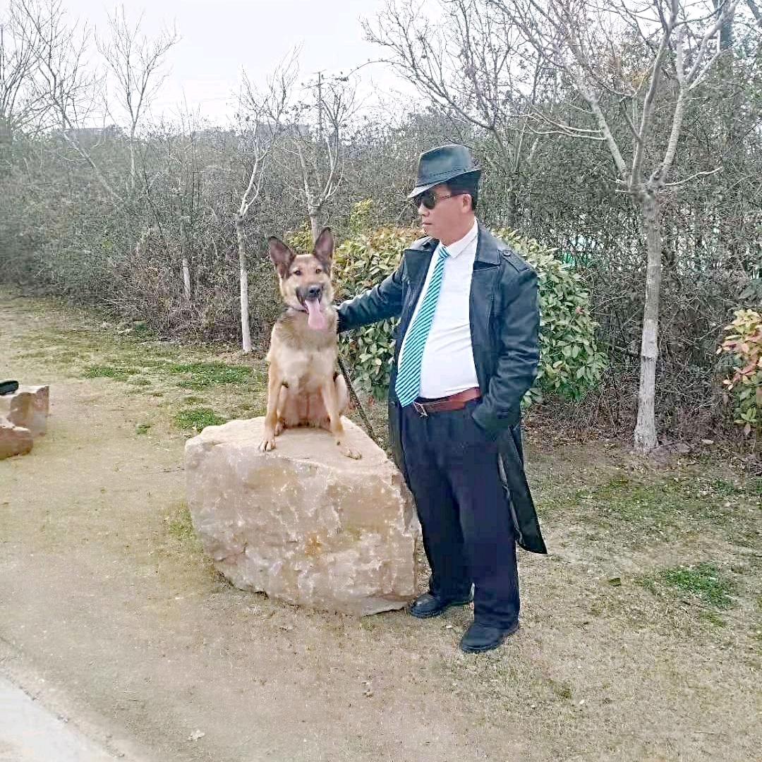 战狼