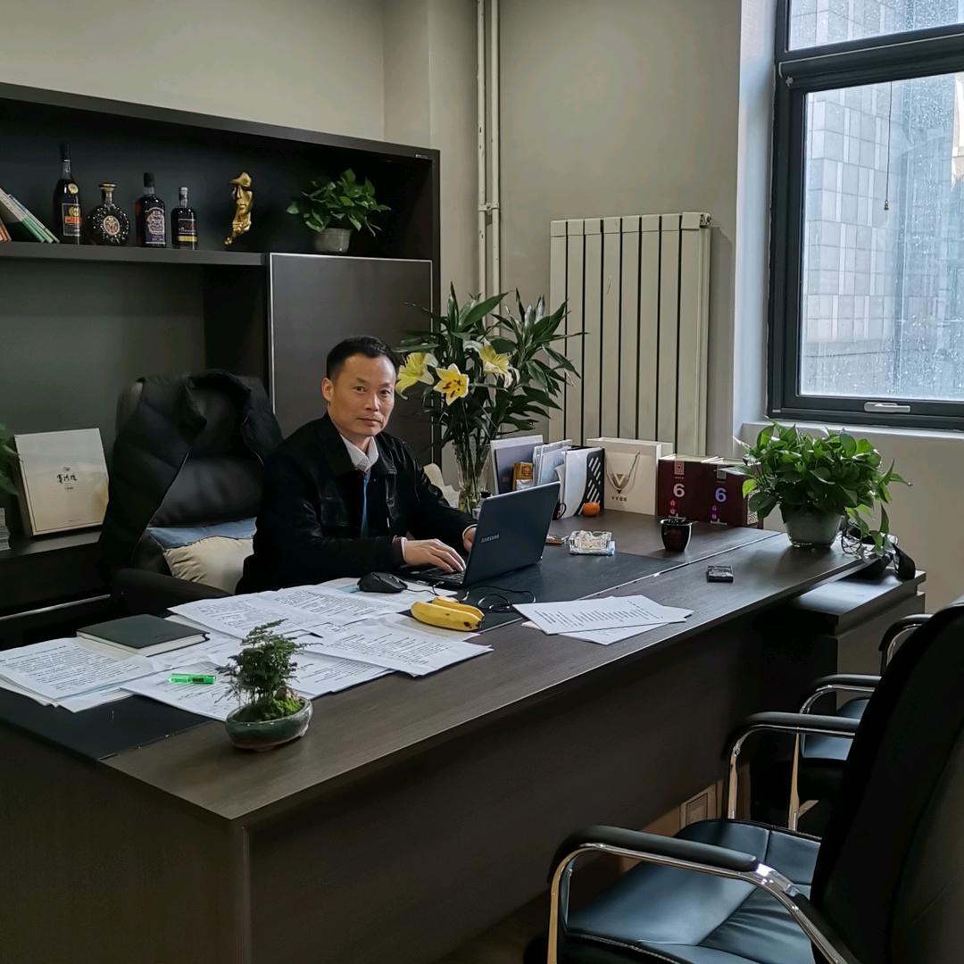 雁南飞