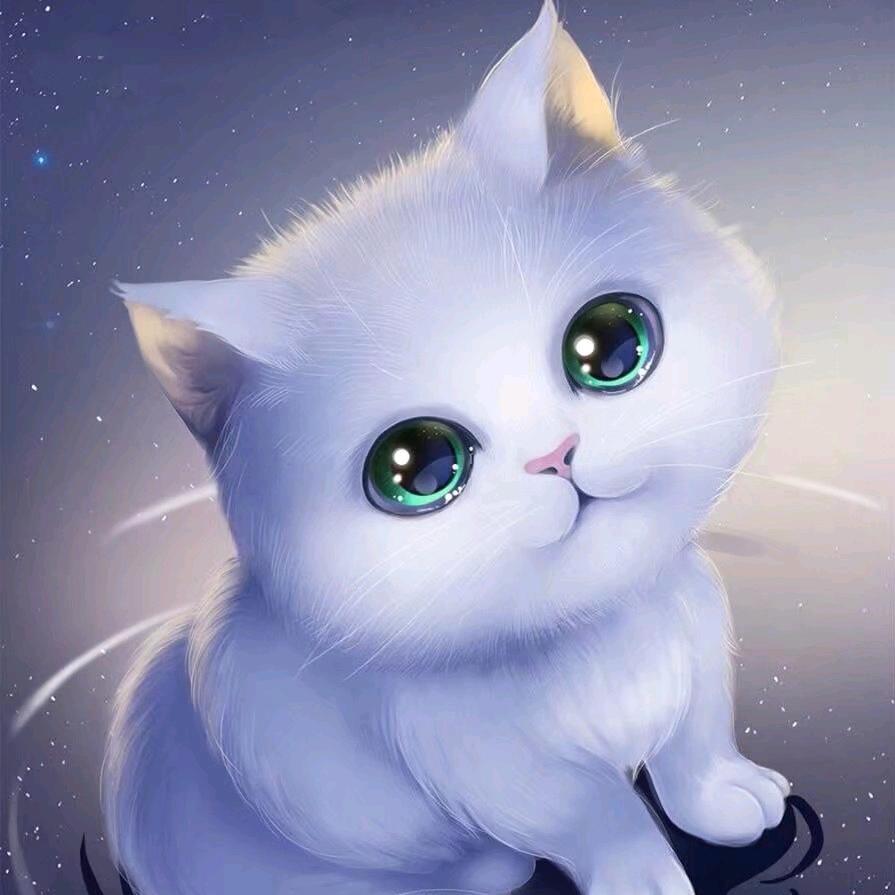 🥂不吃鱼的猫
