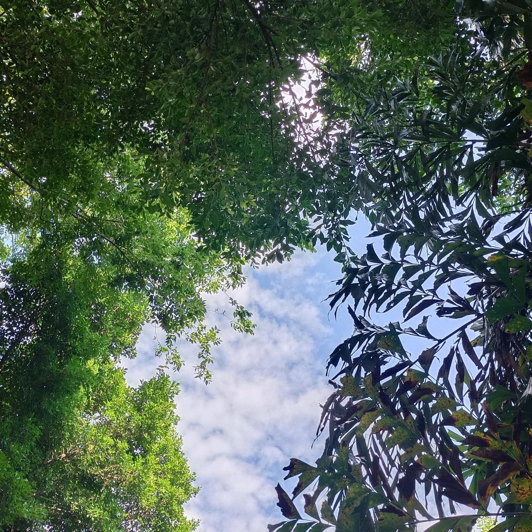 活好当下