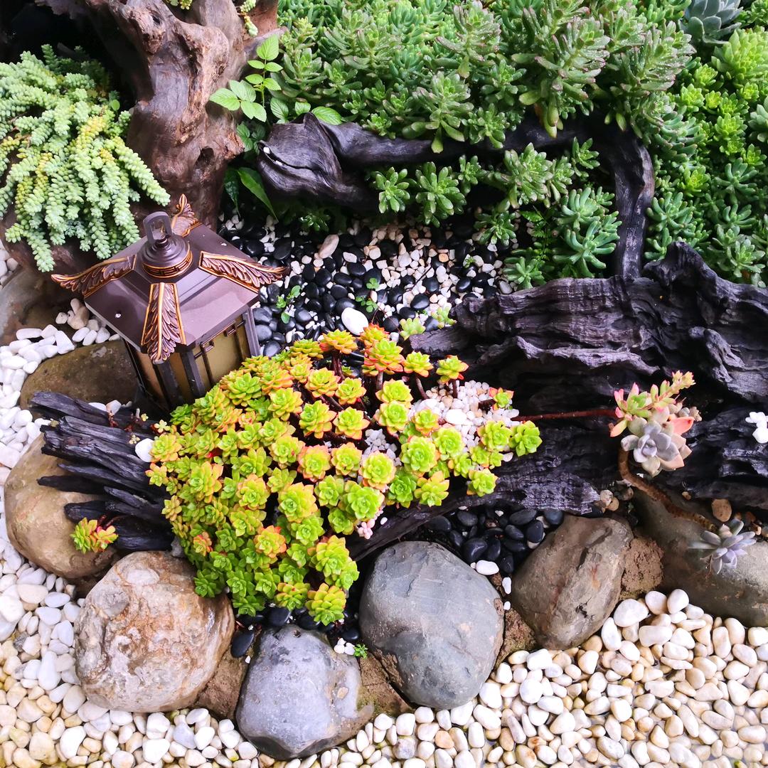 烟沿檐淹燕眼