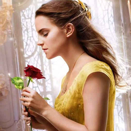 我家de英语老师👌