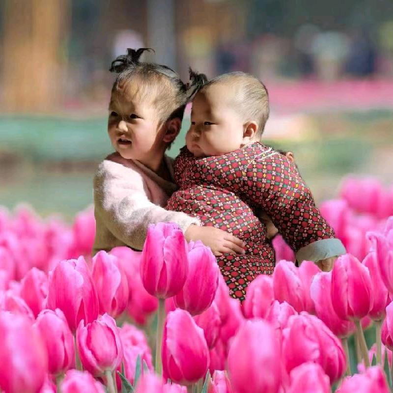 带刺的玫瑰🌹