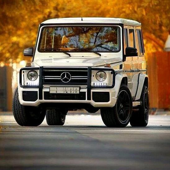 广东轮式挖掘机