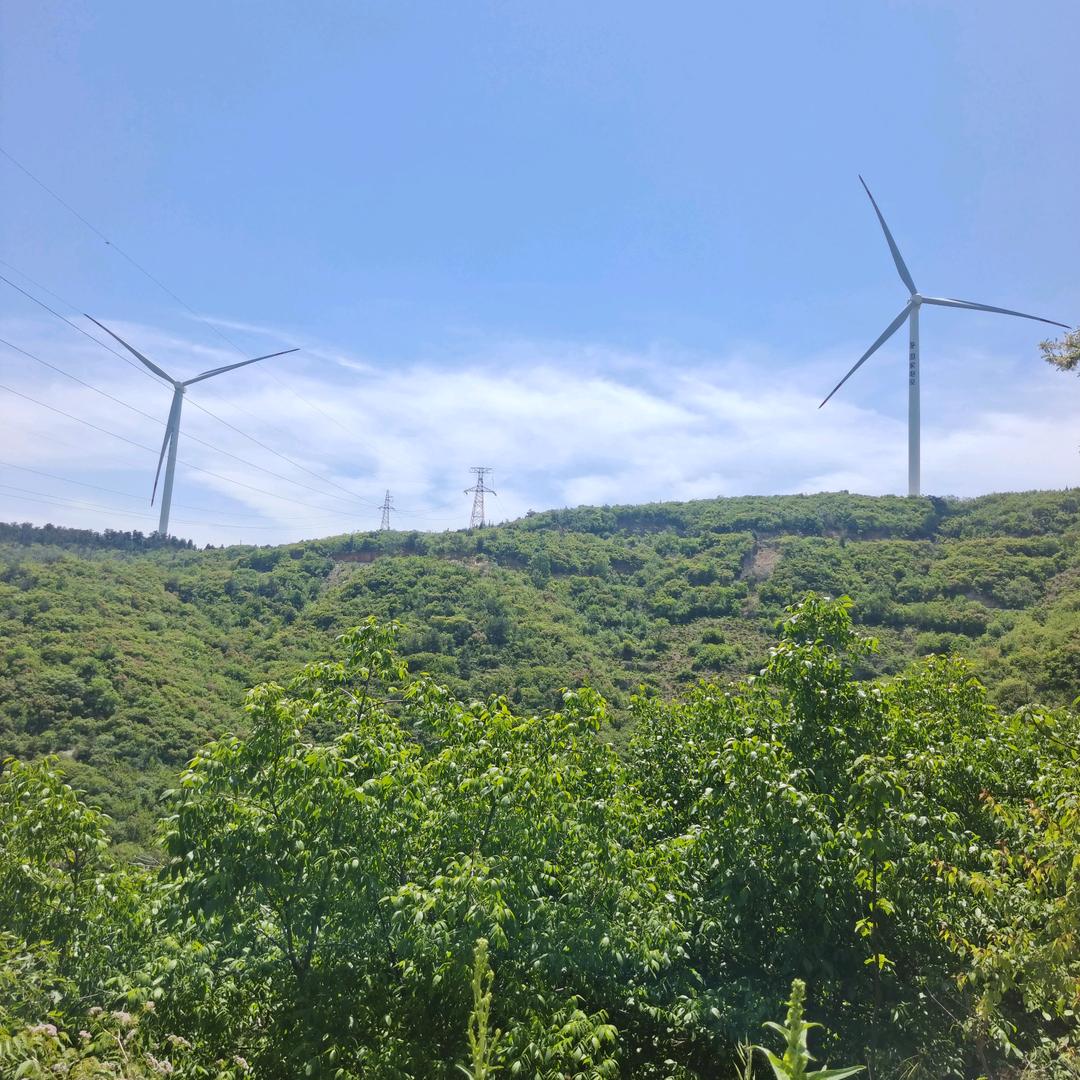 洗化百货批发配送