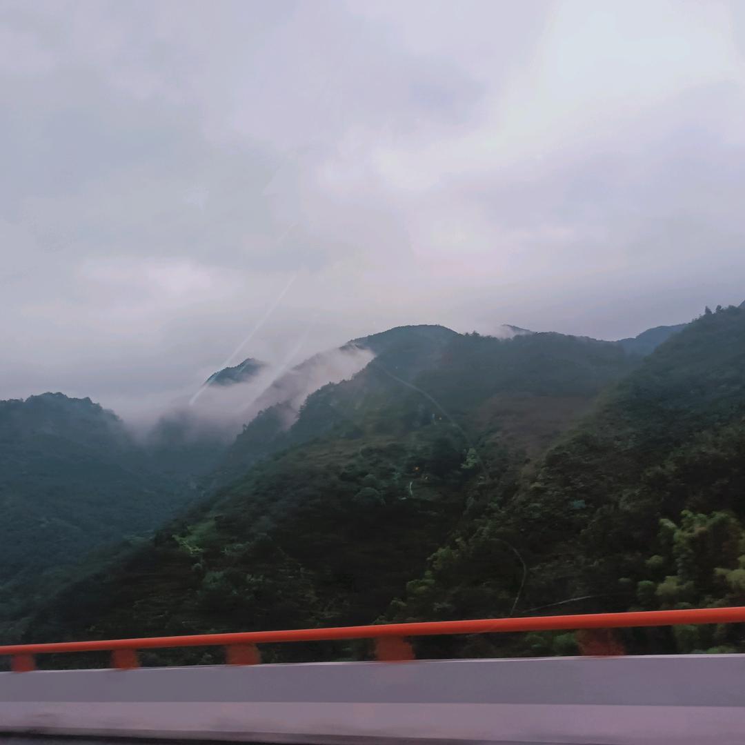 一哥