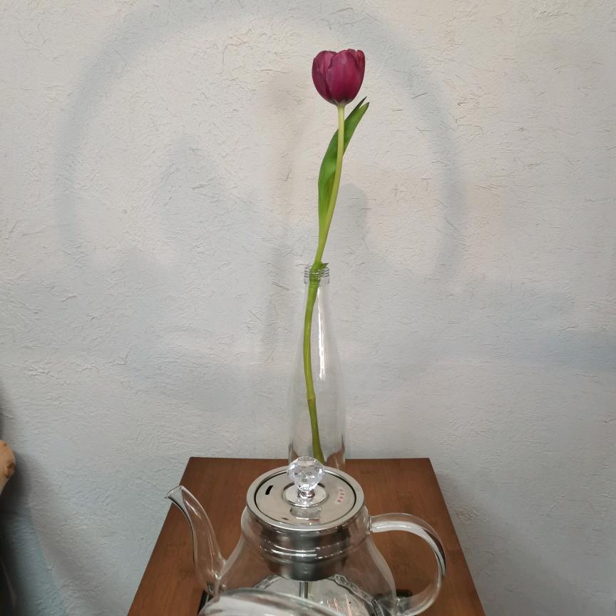 小鱼🐠