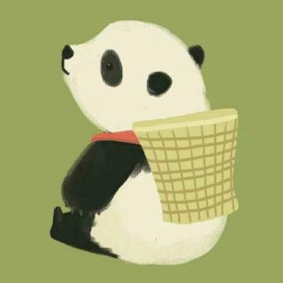 Panda.