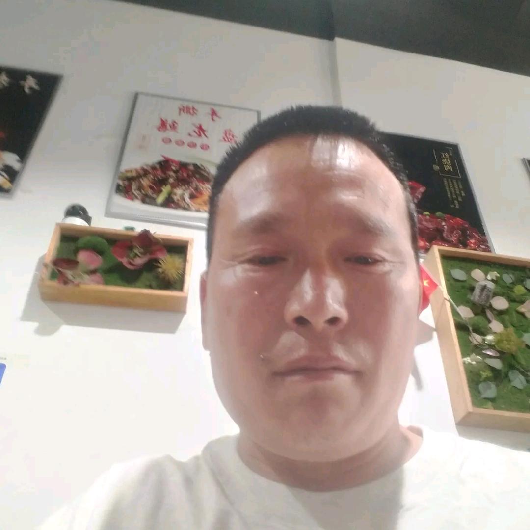 平阳卧虎
