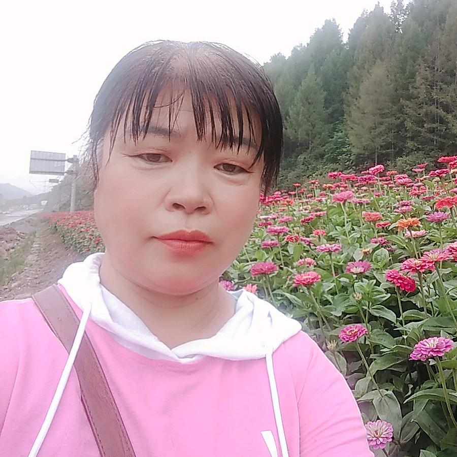 鸿运当头