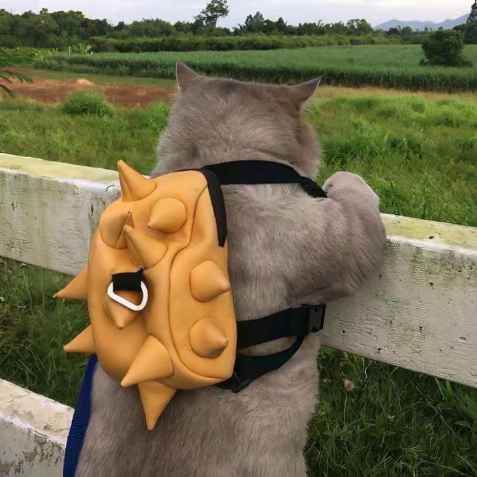 林嘉家