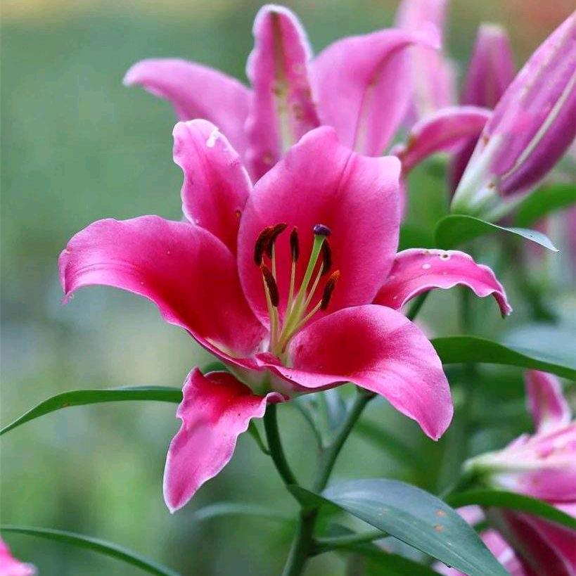 夏天的雨🌷