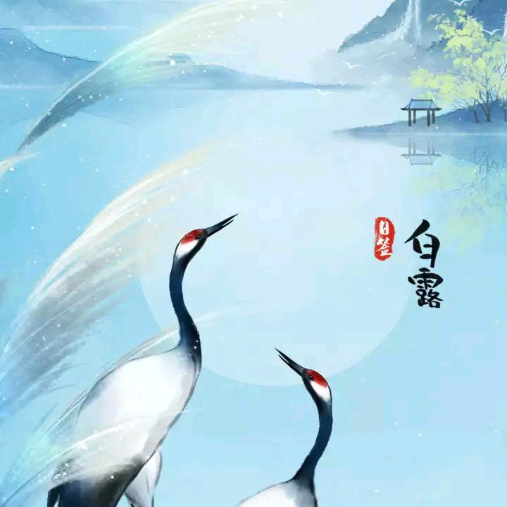 过好以后的日子
