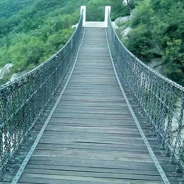 走自己的路