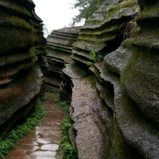 诚挚