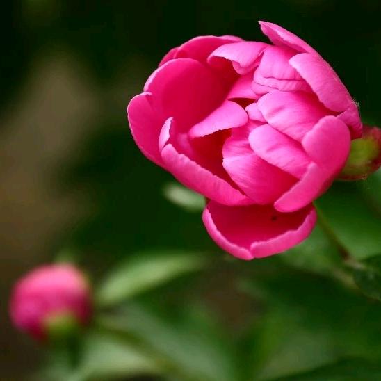 :@ℒℴѵℯ菲菲এ⁵²º