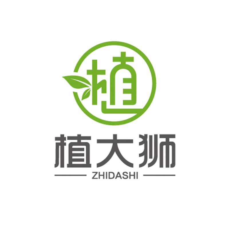 广州植大狮柠檬树绿植精选