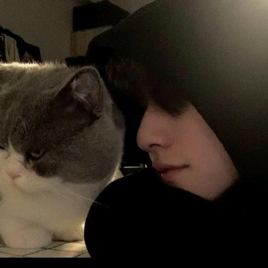 🌈小李的朋友圈-