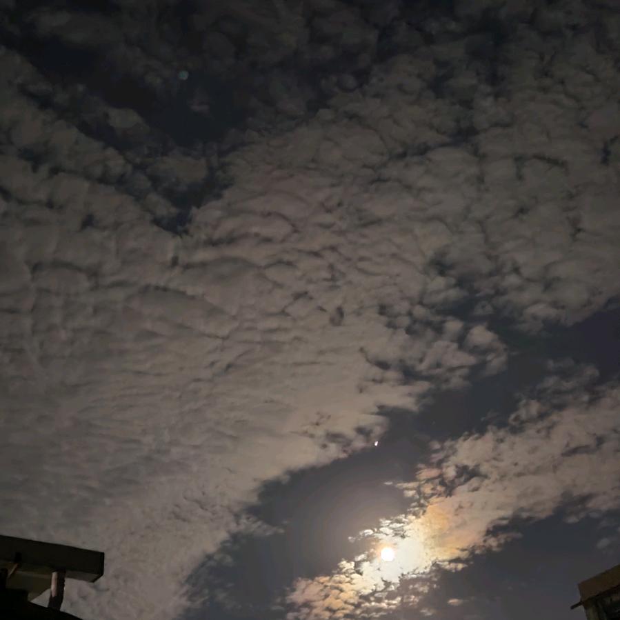 🍁⃢👁ܫ👁⃢🍁