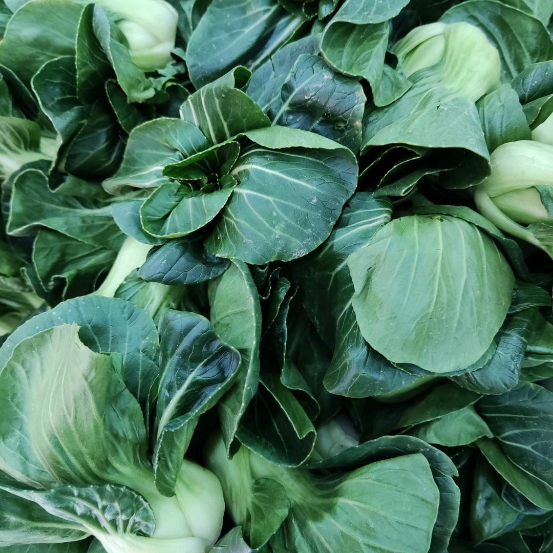 小幸运 ˋˏᰔᩚˎˊ˗