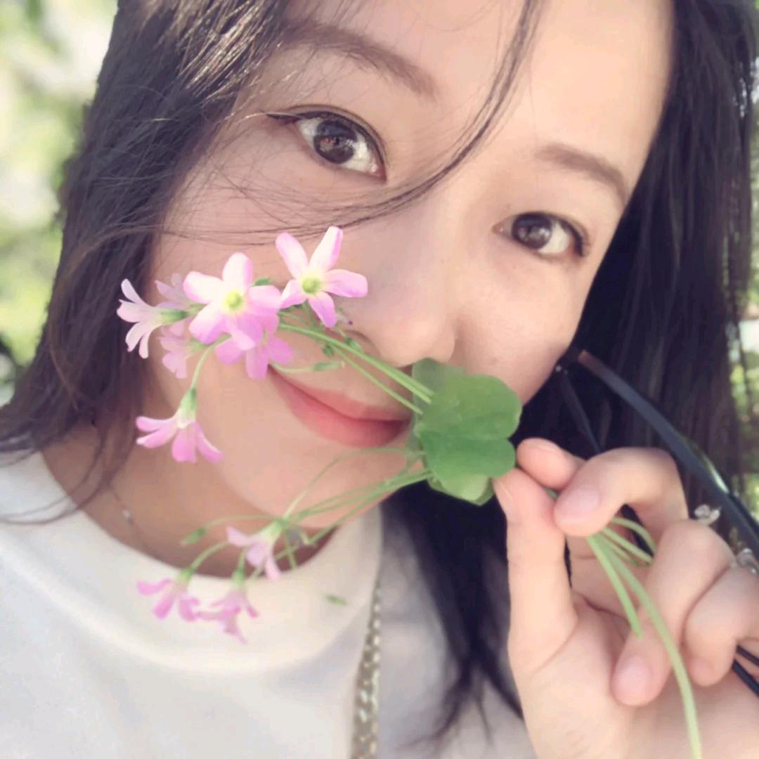 干净的羊驼
