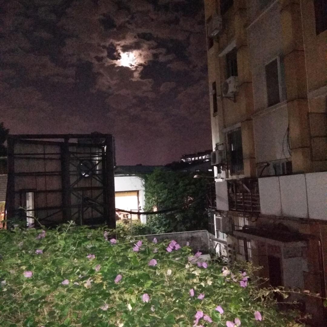 明天怎么过