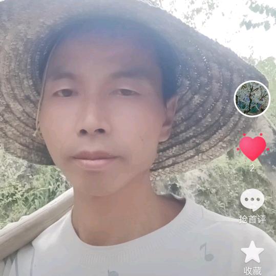 创立第八年的李子哥