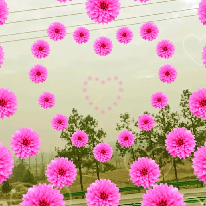 鲁灿英