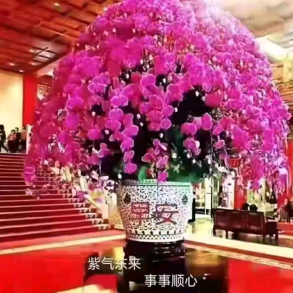 用户26546756头像
