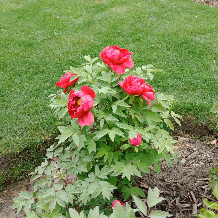 生活要点小惊喜