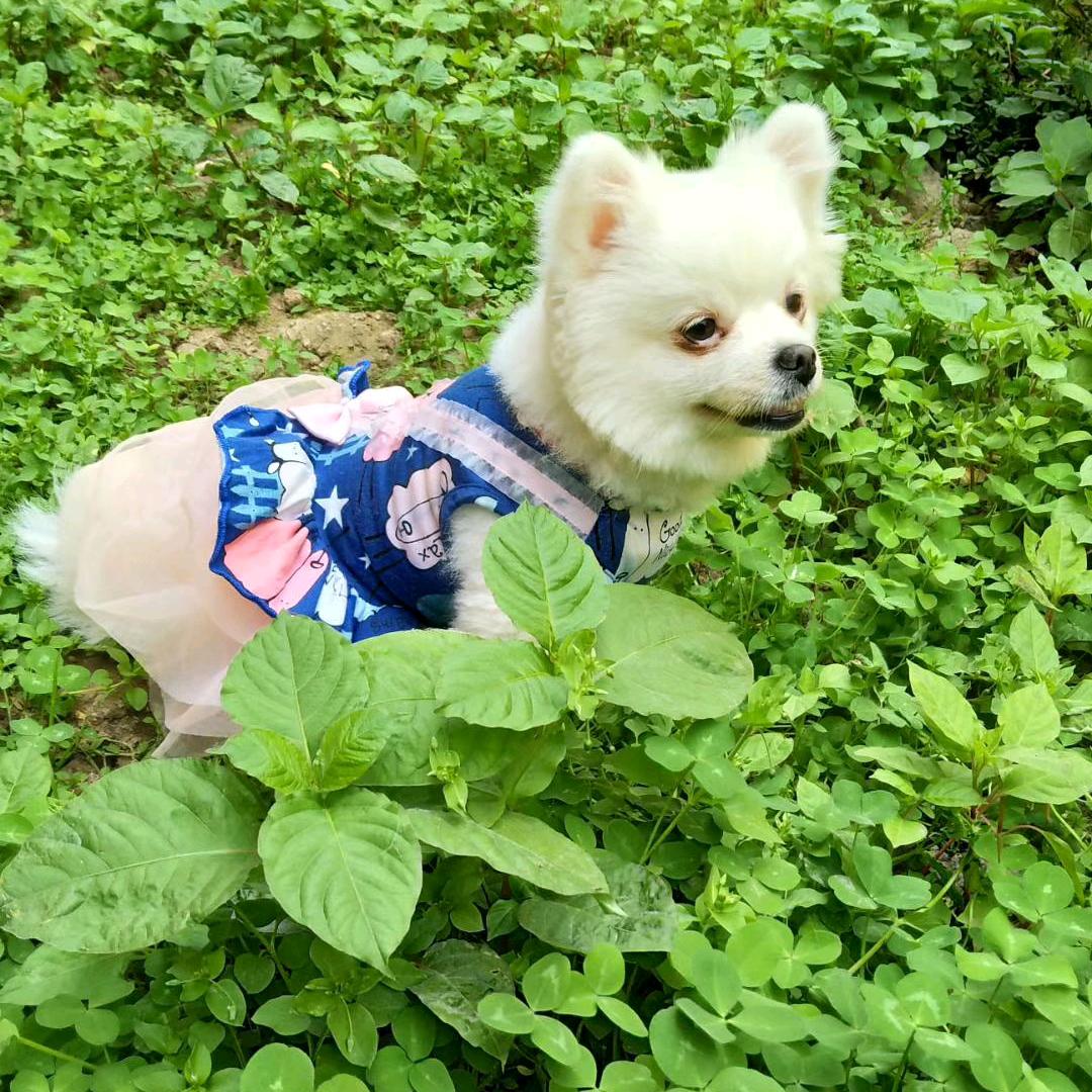 好好爱自己