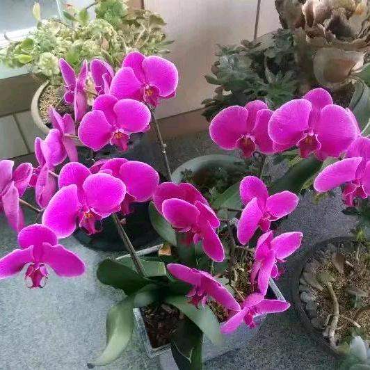 泌阳县张俊林家庭农场