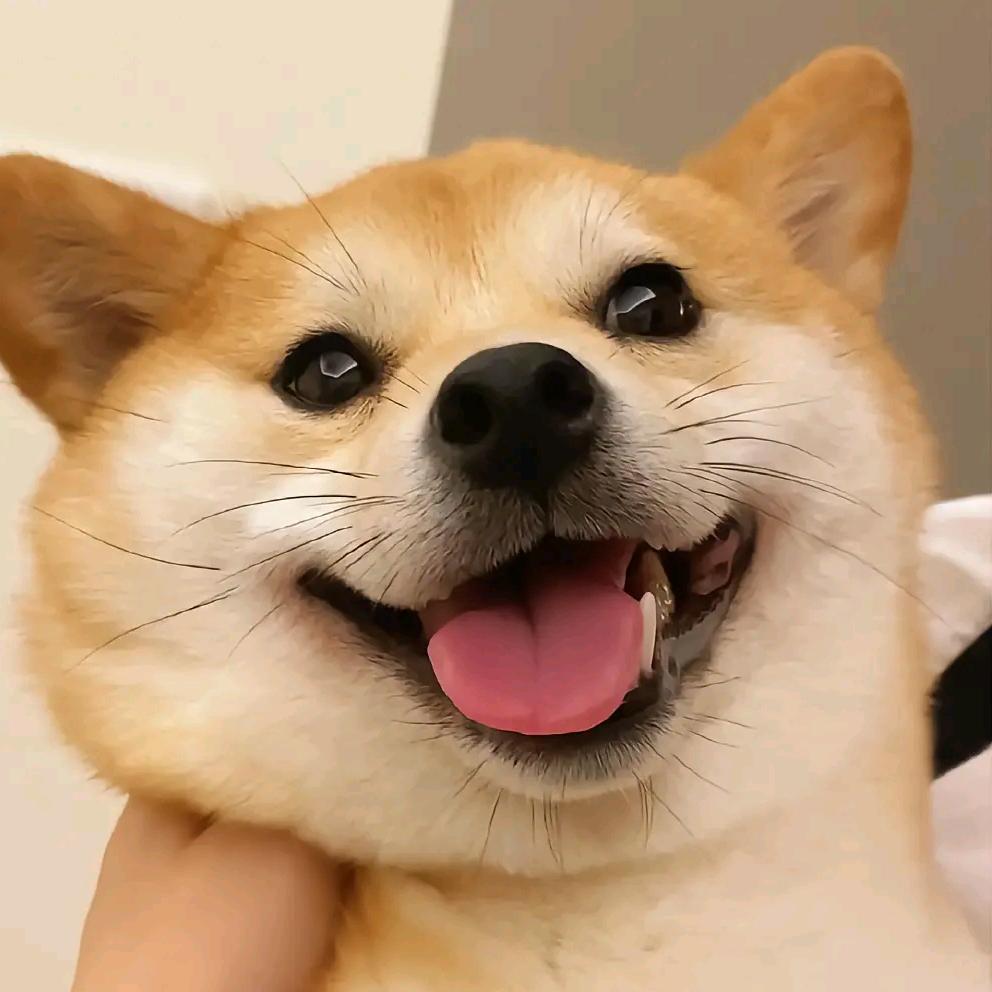 你看呐日出唉