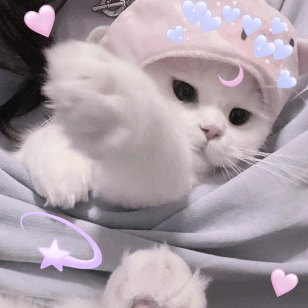 老邓