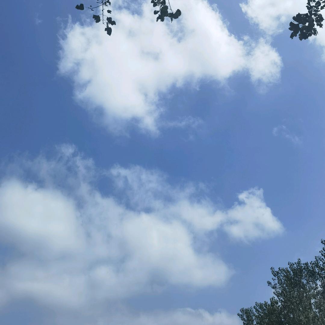 lee