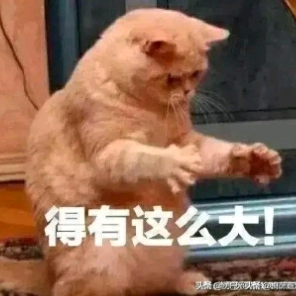 途游斗地主海总