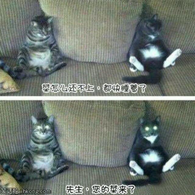 凌阁主