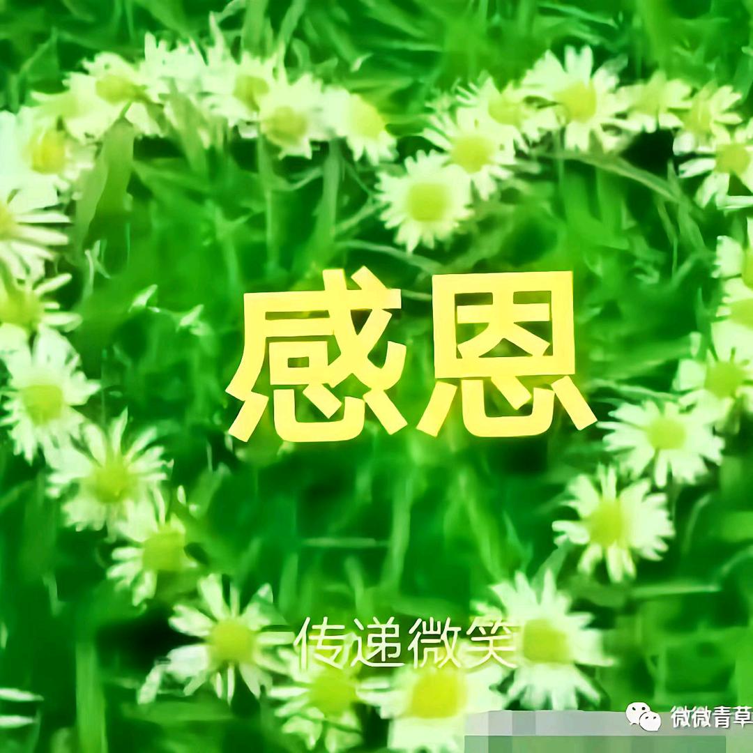 八月