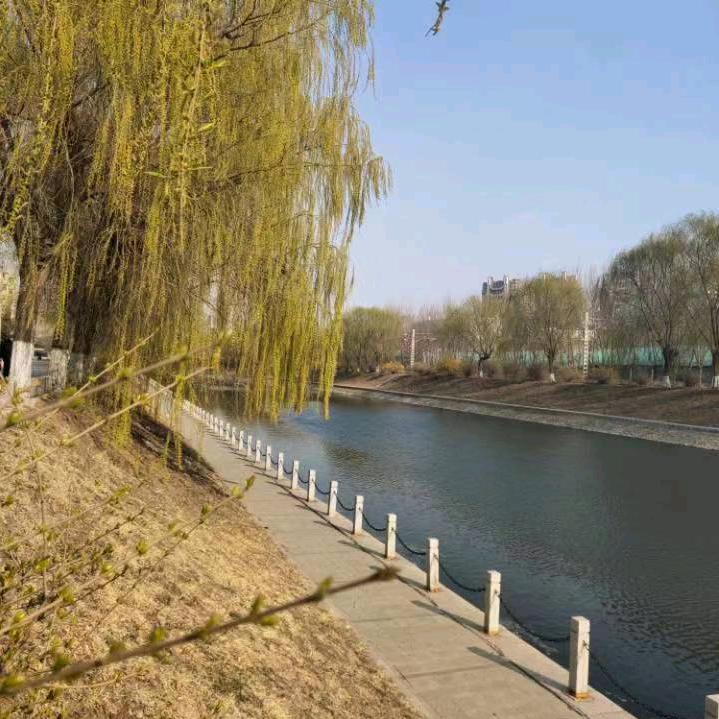 清风明月