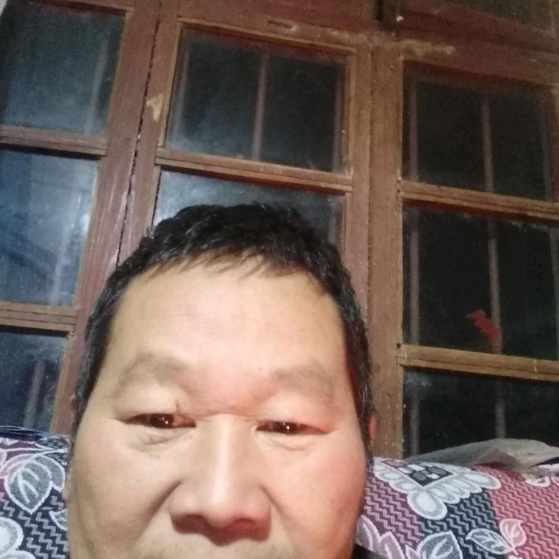 你真我真