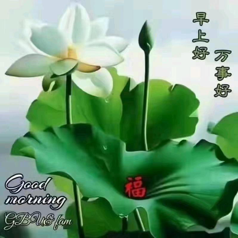 莫愁病®筋骨养生馆