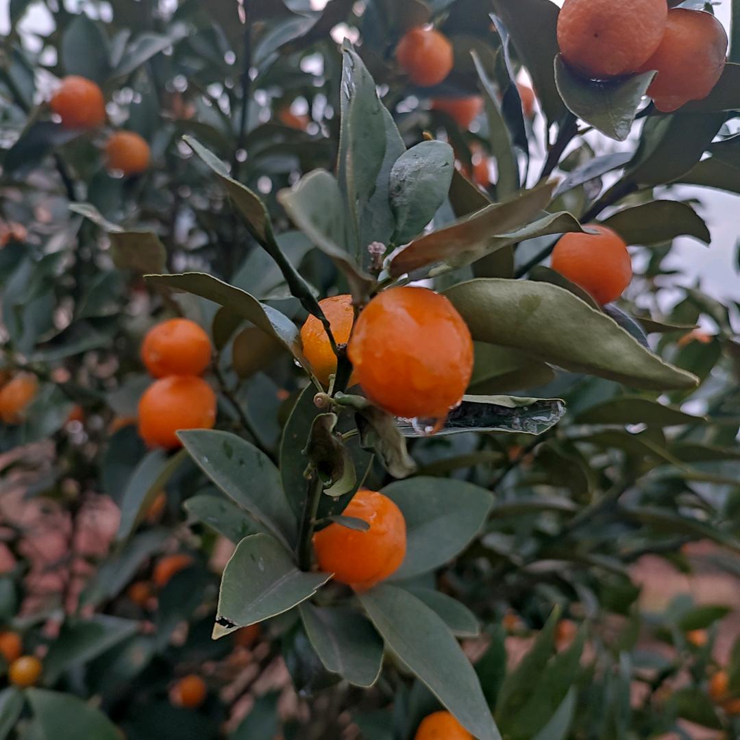 用户时光不老！