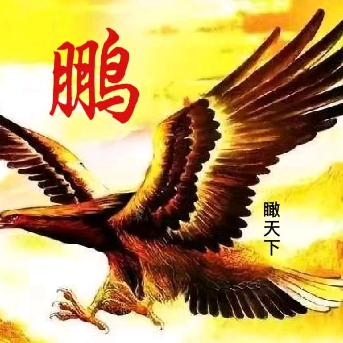 鹏瞰天下