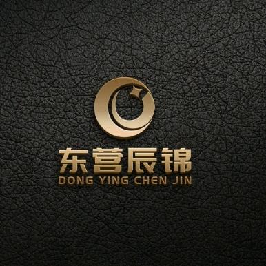 东营辰锦