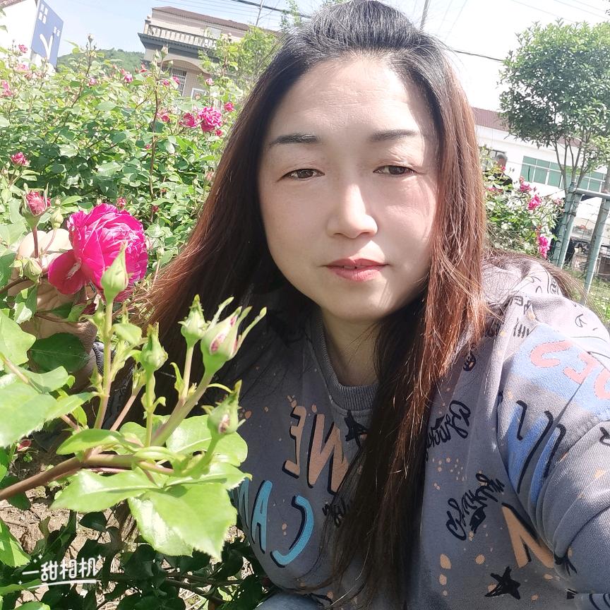 泡沫之夏