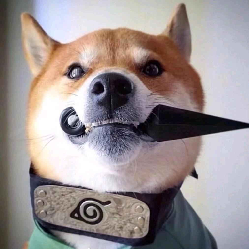 俊少
