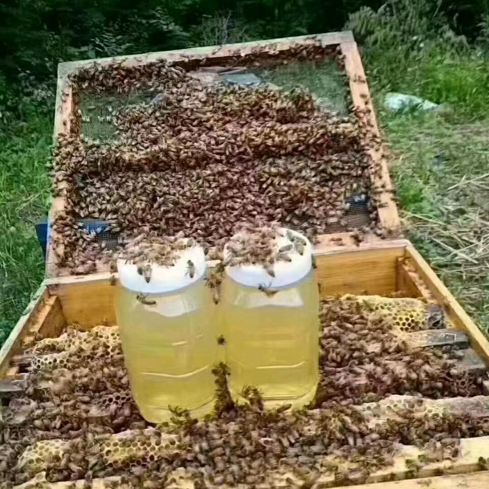 幸福之花不私聊