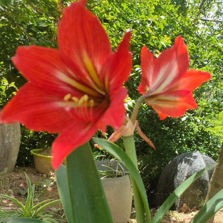 邬氏乡村移动宴席<邬天文>