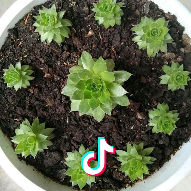 努力奔向目标